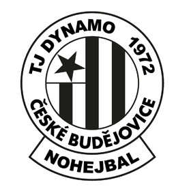 TJ DYNAMO ČEZ České Budějovice  