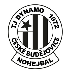 TJ DYNAMO České Budějovice 